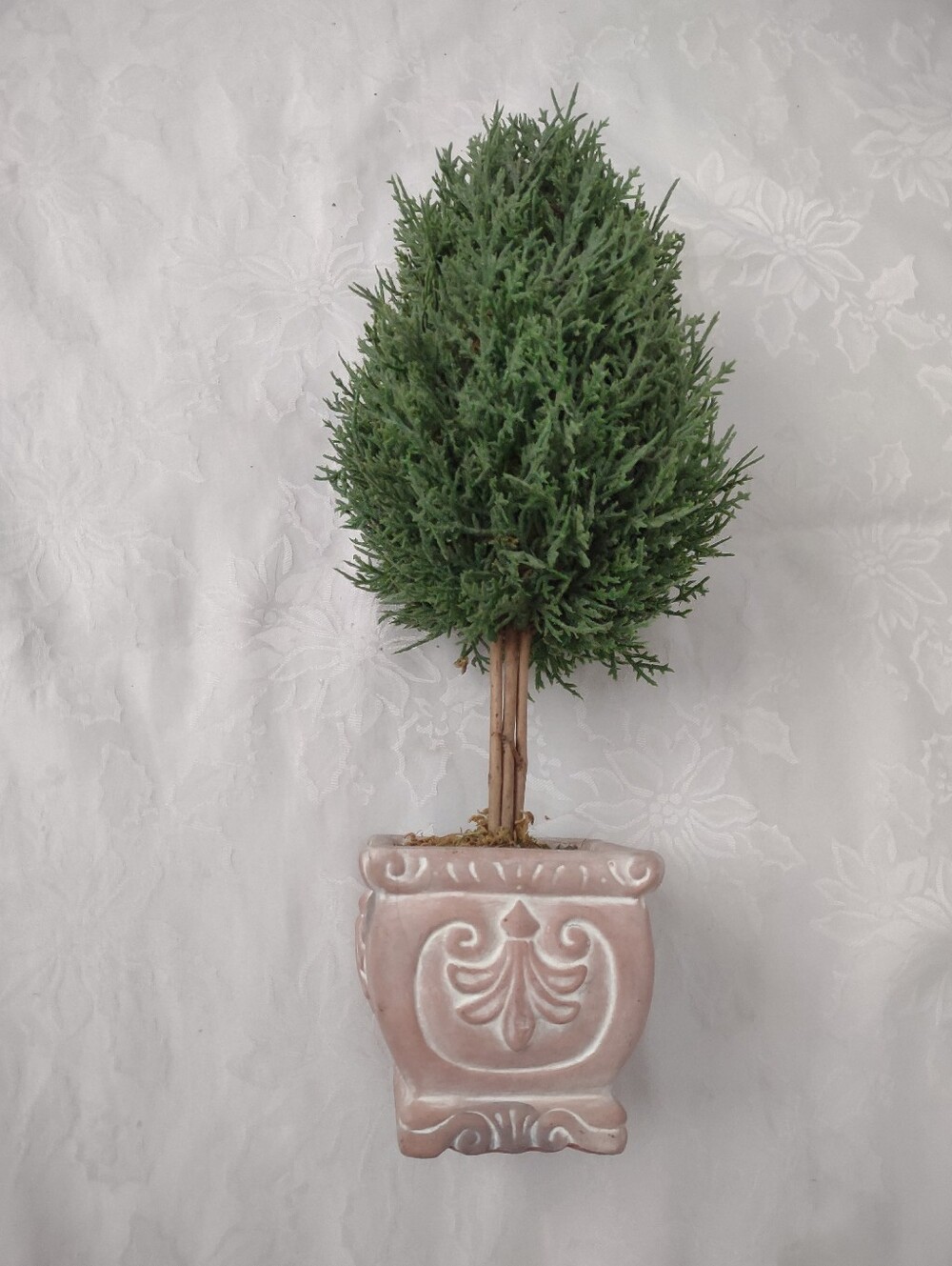 Artificial Cypress Tree Terracotta Fleur De Lis Planter